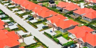 Savanna Greens Joska