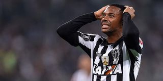 ROBINHO Pict