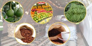 Exports