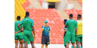 YANGA 03