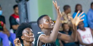 UKONGA Pict