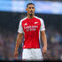 SALIBa Pict