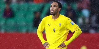 AUBA Pict