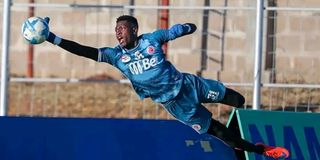 FERUZ Pict