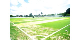 VIWA 03
