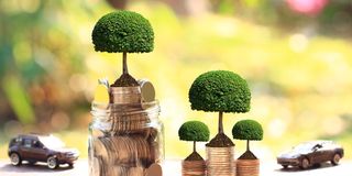 BDgreenbond