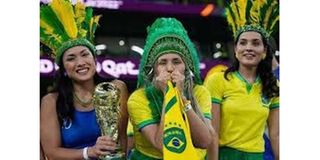BRAZ 01
