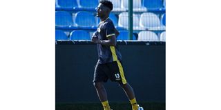 MSENE 01