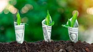 BDCARBONCREDITS