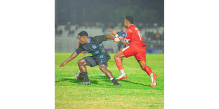 MSIM 01