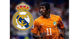 MADRI 02