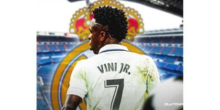 VINI 01