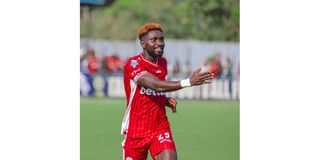 KUJICH 01