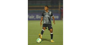 FEI 01